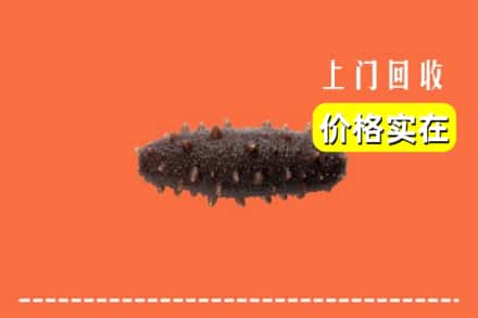 文昌市回收海参
