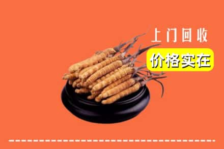 文昌市回收冬虫夏草