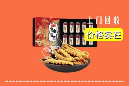 文昌市回收虫草