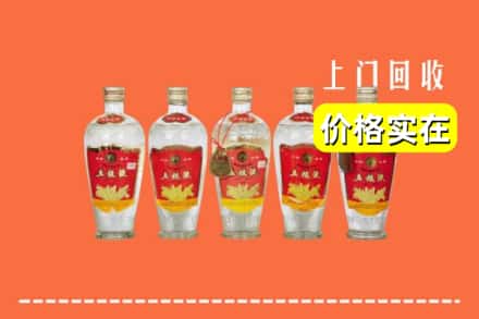 文昌市回收老五粮液